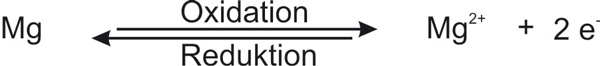 1-03-00-ta-neue-definitionen---magnesium