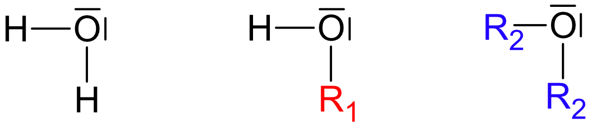 Abkömmlinge des Wassers