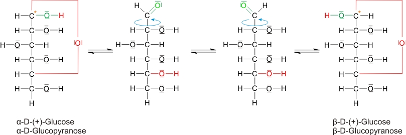 Mutarotation und Ringbildung von Glucose